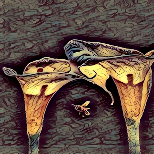 Abstract Art Pop Art Pointilism and More