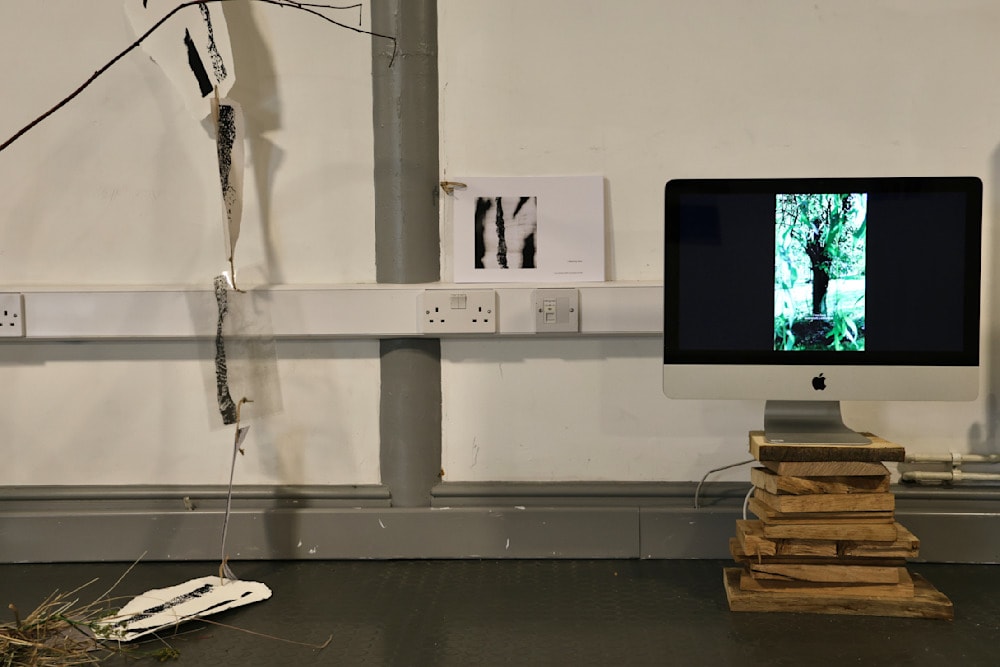 I was born underneath a willow tree — Digital / Video — Jay Lee