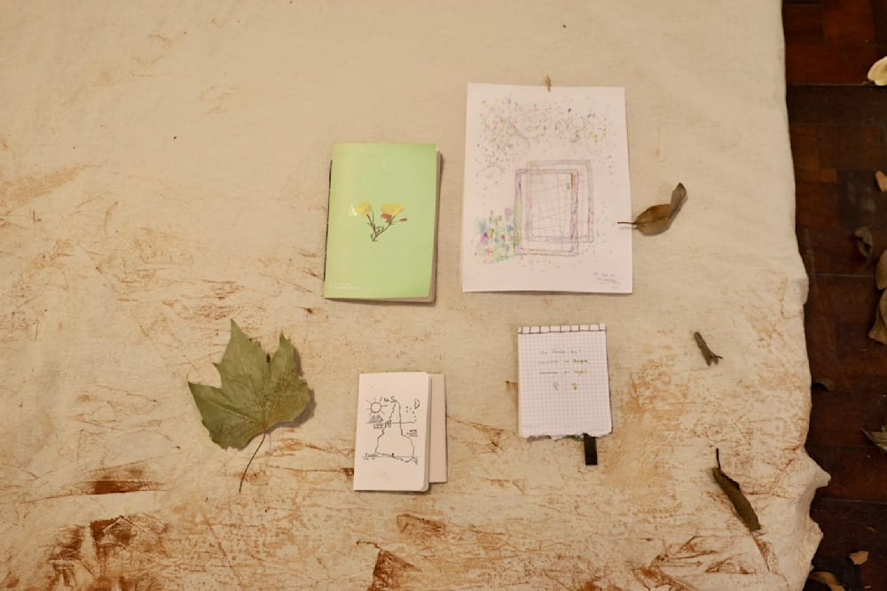Books of Natural Dye Making Process and Natural Material Collections in Argentina — Publication — Jay Lee
