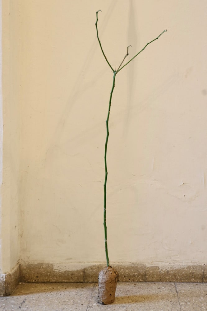 Tree IV — Paper mâché with potato starch, plants, clay, recycled paper pipes, glass bottle, and a Pringle's can — Jay Lee
