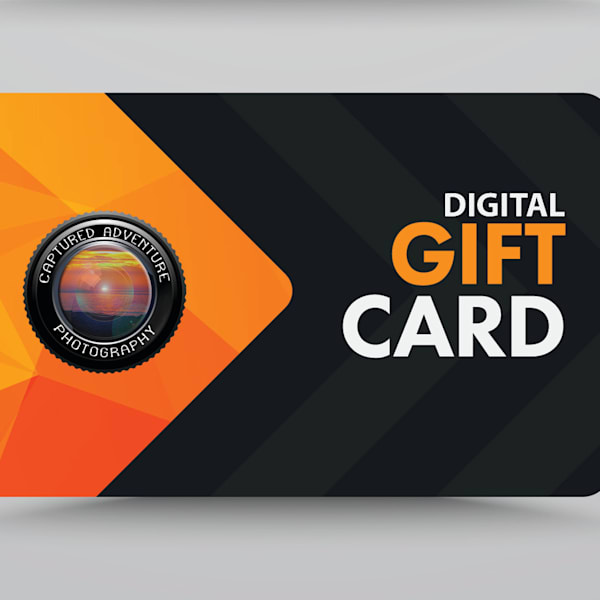 Calendars and other Gifts