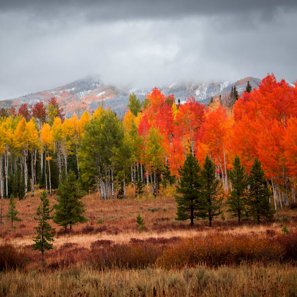 Fall Landscapes of Colorado