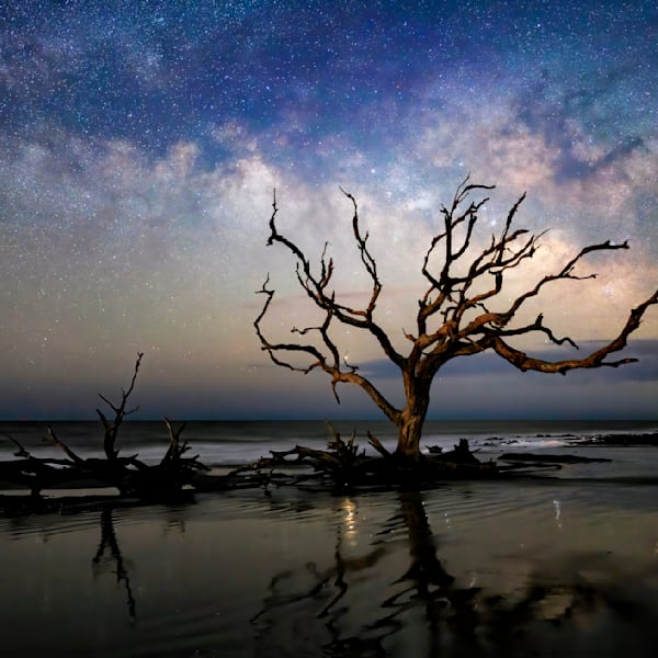 Distant Lights | Everyday Sights