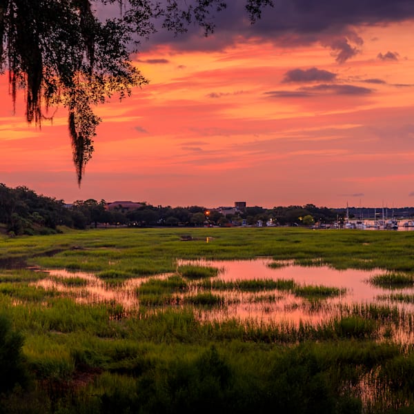 Lowcountry Collection