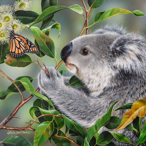 Best Sellers and Favourites