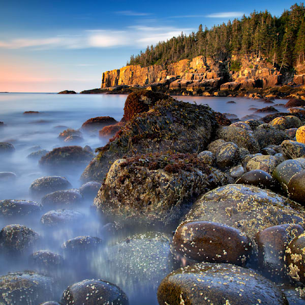 Acadia National Park Collection