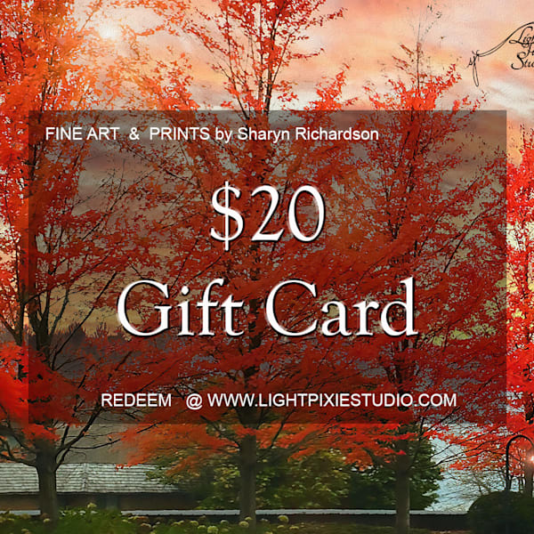 Give Gift Cards!