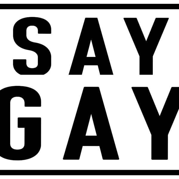 Say Gay