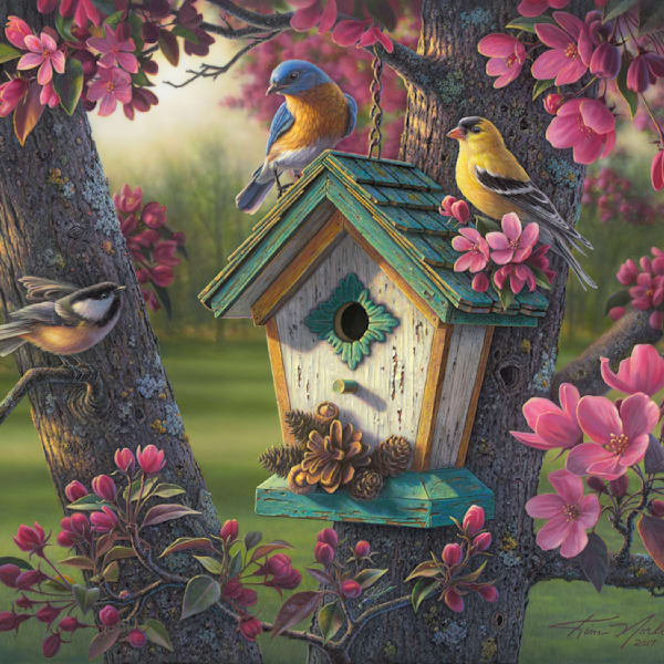 Songbirds & Eagles Collection