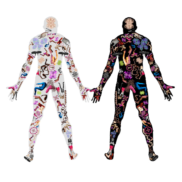 Bodies