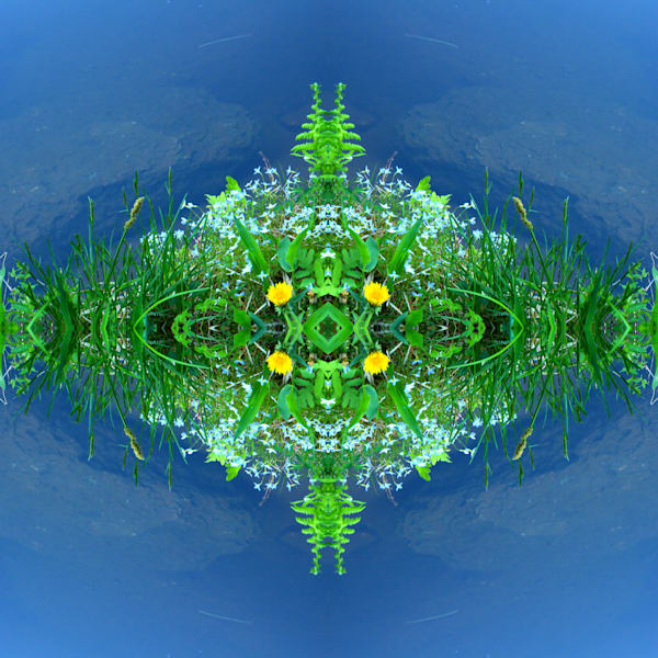 Flowers & Floral Designs 