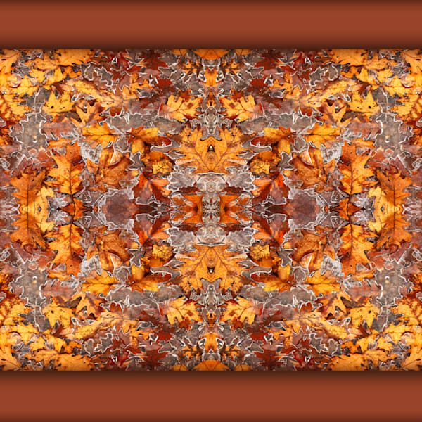 Ferns, Leaves & Vines