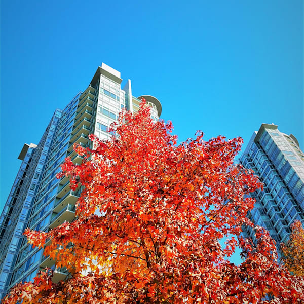 Vancouver Collection