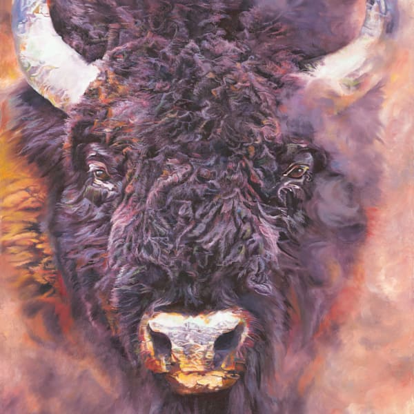 Shop Limited Editions