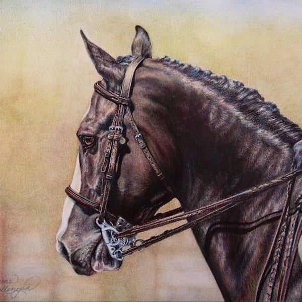 Custom / Commissioned Art