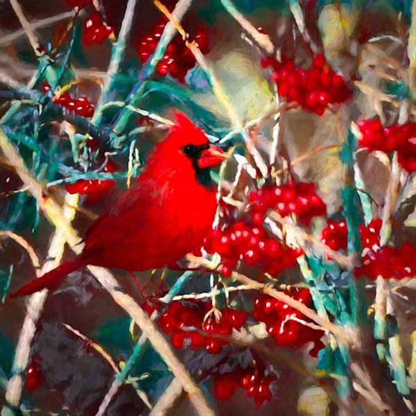 Just the Birds
