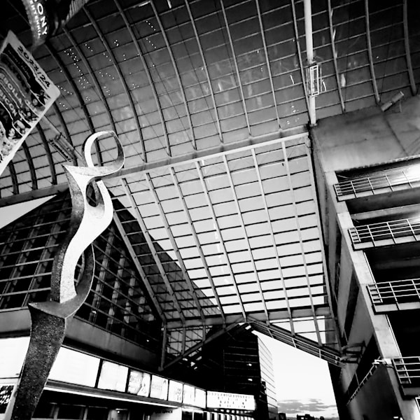 Perspectives On A Dog Walk