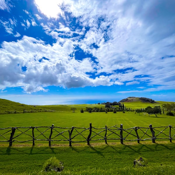 Wholesome Landscapes