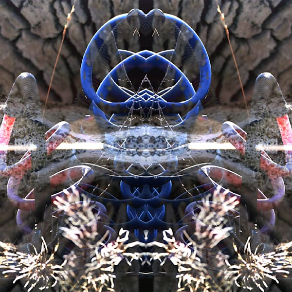 Man