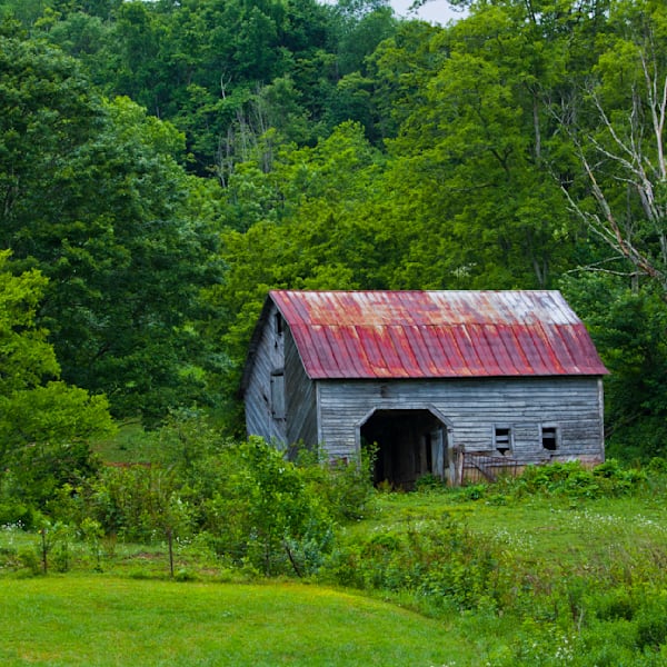 Landscapes