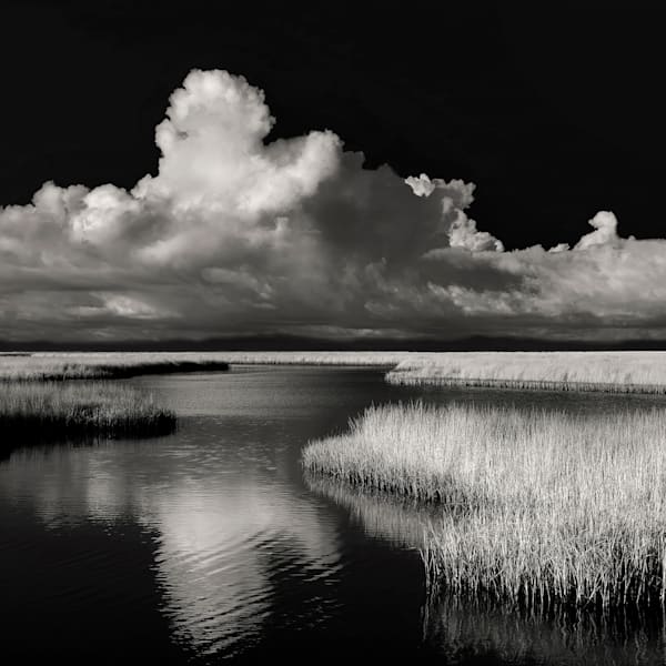 Limited Edition Fine Art Signed Prints
