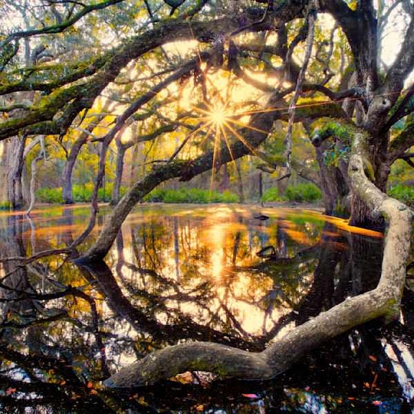 Reflections