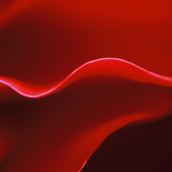 Nature's Hieroglyphs