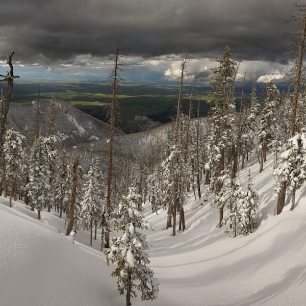Panoramic