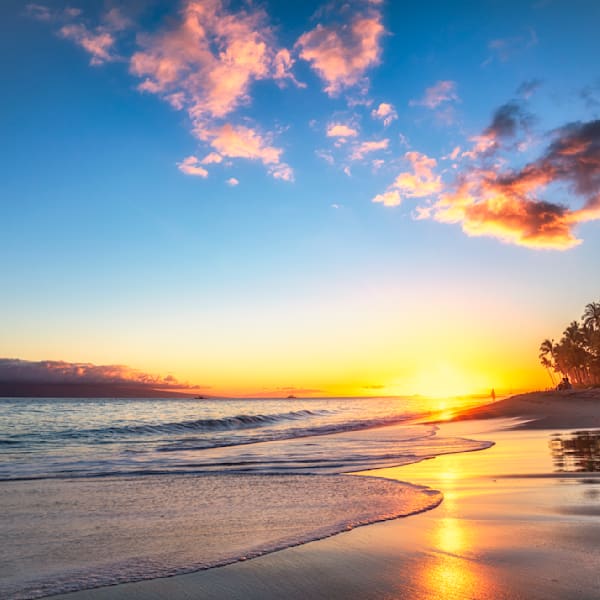 Beaches & Ocean Views