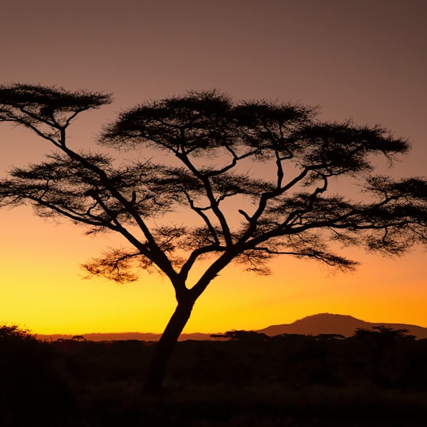 Africa