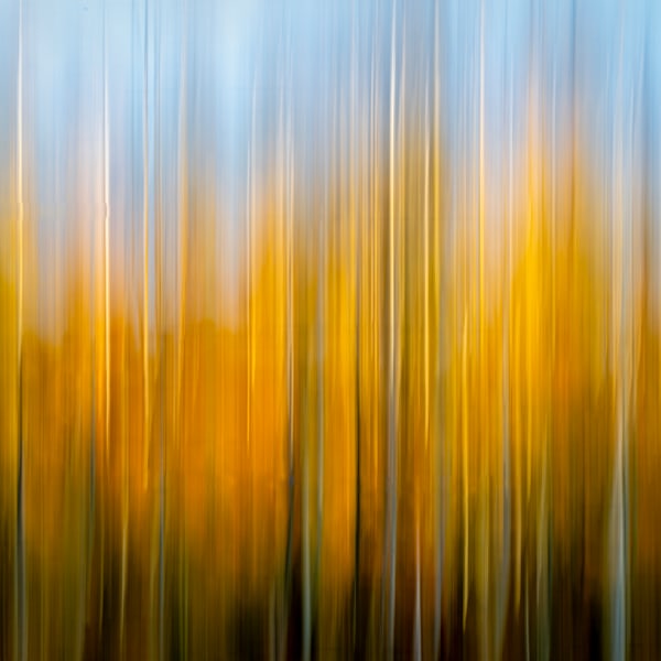 Abstract