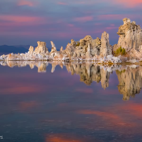 North American Landsape