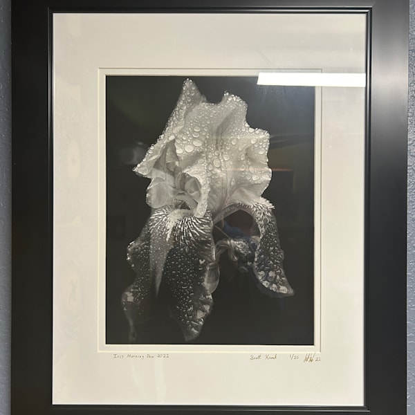 Limited Edition Prints