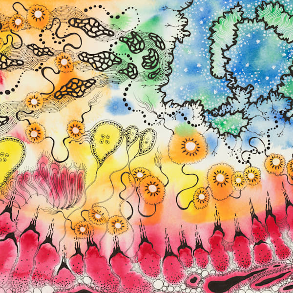 Reflections and Echoes