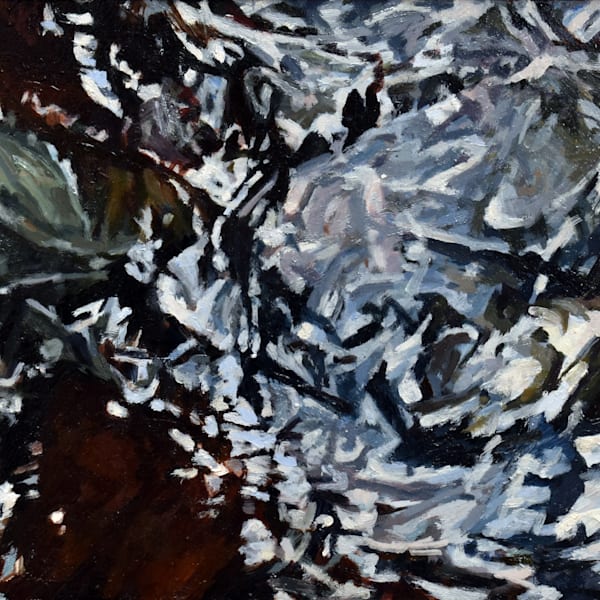 Reflections and Ripples Series