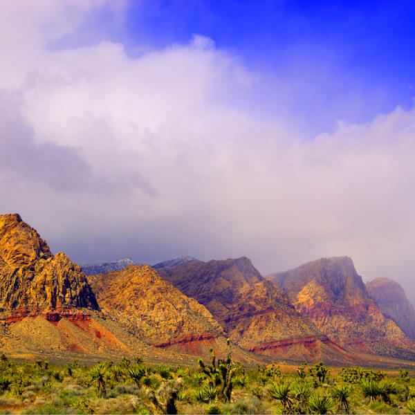 The American Southwest