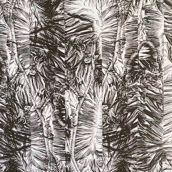 Nature Series