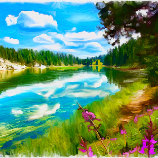 Landscapes & Seascapes