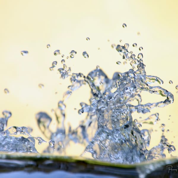 Water Droplets