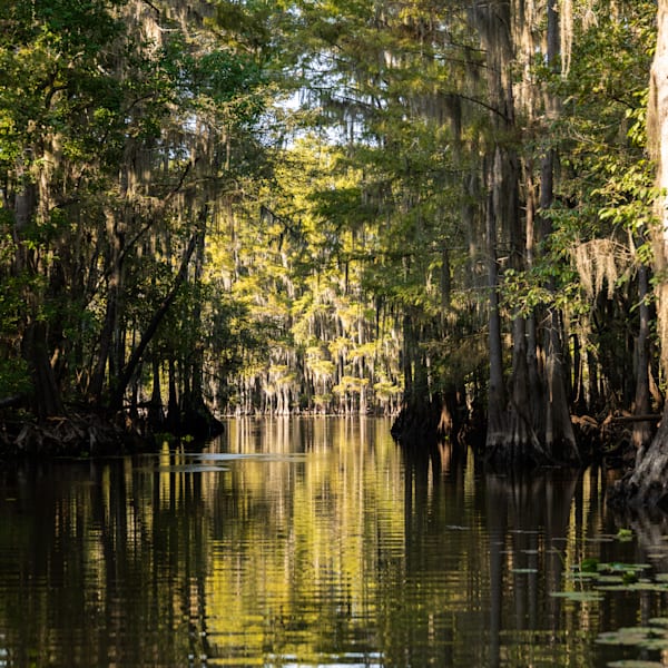 Caddo Lake, Texas