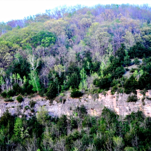 Scenic Outcrops