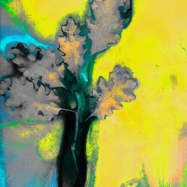 Western Elegance Art Collection