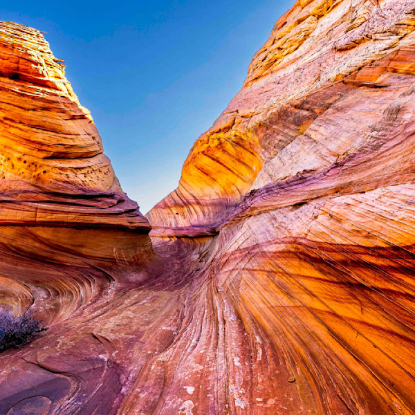 Paria Canyon - Vermillion Cliffs Wilderness Area