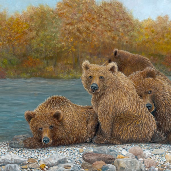 Wildlife