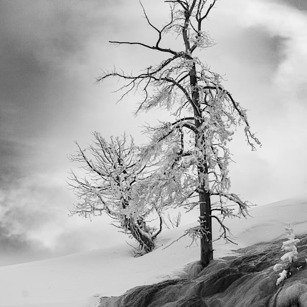 (Mostly) Black and White