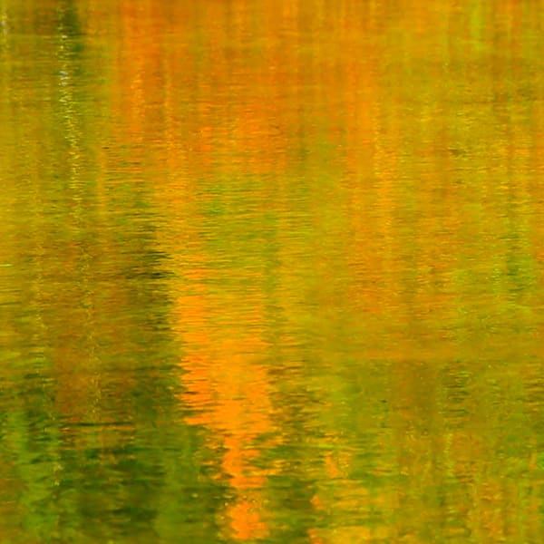 Abstracts & Saturated Color