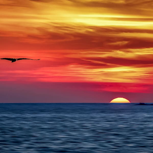 $6 Prints! (and frames)