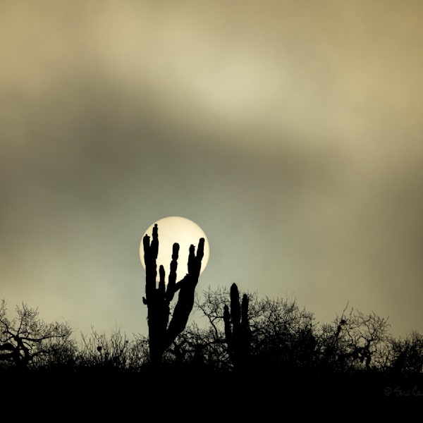 Baja