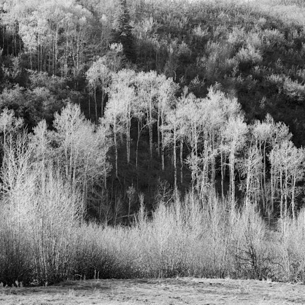 Landscapes