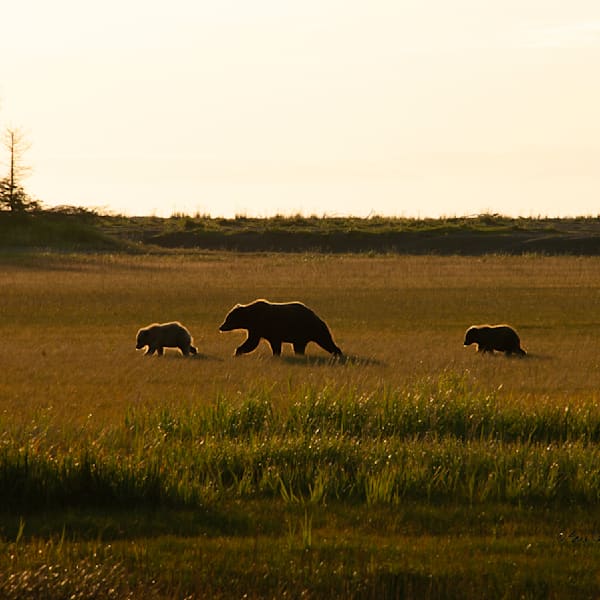 Alaska